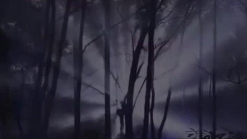 救援男孩贝利